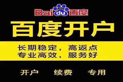 百度平台推广策略及成功案例解析
